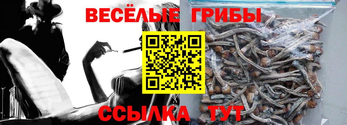 Галлюциногенные грибы мицелий Великие Луки