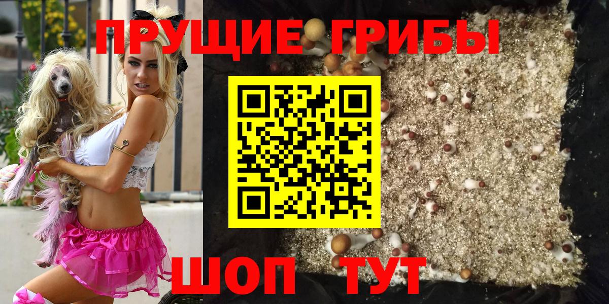 Псилоцибиновые грибы прущие грибы  Вход с VPN  Великие Луки  Галлюциногенные грибы Psilocybine cubensis 